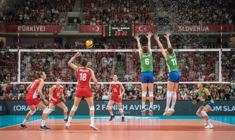 Filenin Efeleri’nden Tarihi Çeyrek Final Yolculuğu